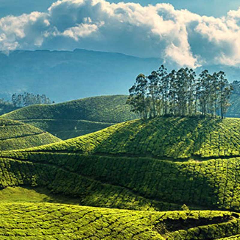 munnar